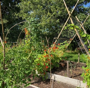 Fleur de Coucou vous conseille pour vos jardins potagers