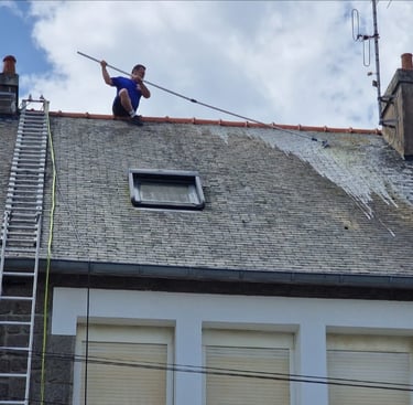 nettoyage toiture DINAN 22100