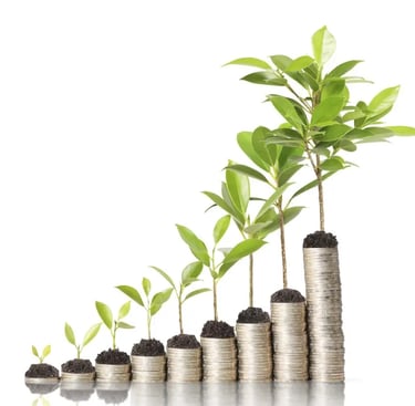 Trees growing on money piling up and increasing growth