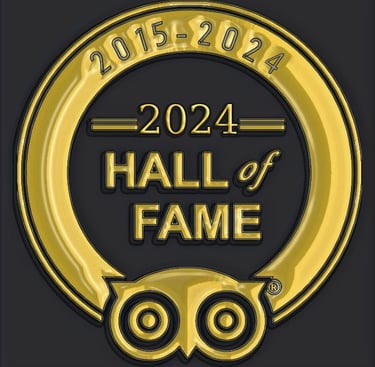 a gold medal medal for the hall of fame hall of fame