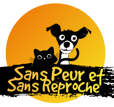 éducation positive bienveillante et comportement chiens et chats