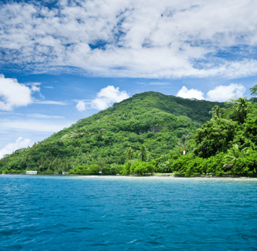 a lush green island surrounded by blue water