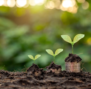 GTMizer for startups, GTM planning, Go-to-Market, business strategy, launch