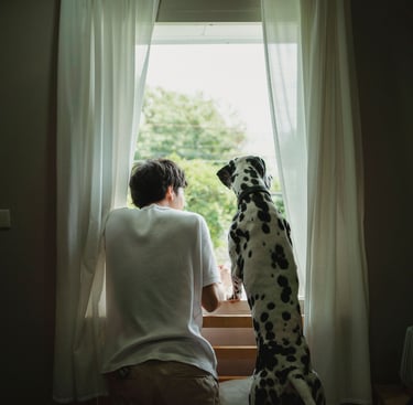 A person and a spotted Dalmatian dog looking out of a window with white curtains together.