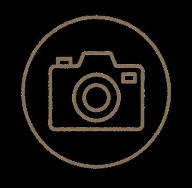 Galería de fotos