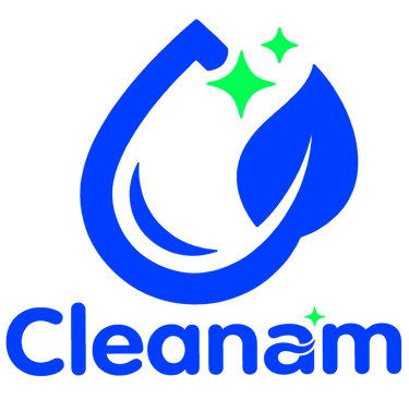 Cleanam