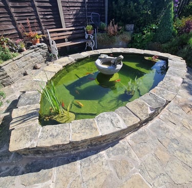 Garden ponds restoration and pond clean