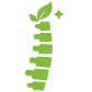 Spine icon for chiropractic adjustments at Bloom Chiropractic Dearborn.