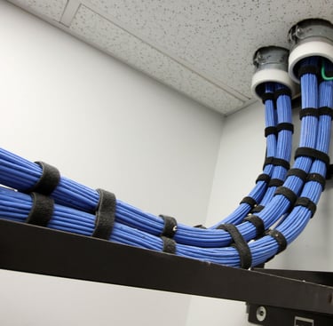 Neatly bundled blue trunk cables routed through a white ceiling tile.