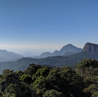 Atlantic Forest ecoregions of Brazil