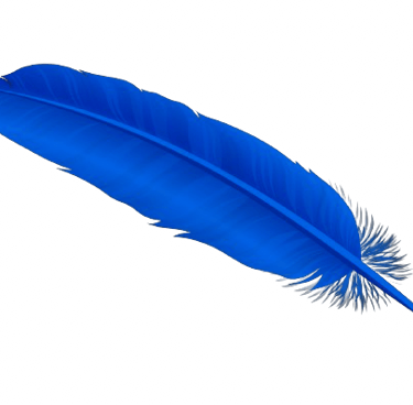 Blue feather representing creativity, inspiration, and the journey of transformation.