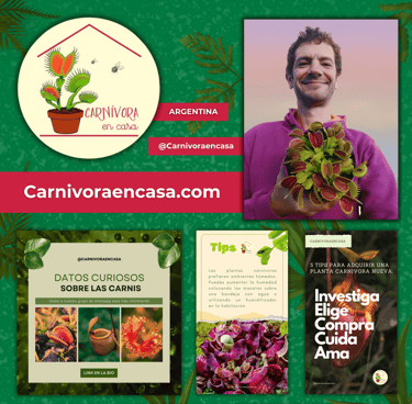 Carnívora en casa