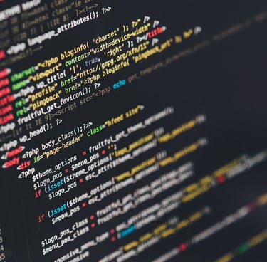 Custom software development services for business
