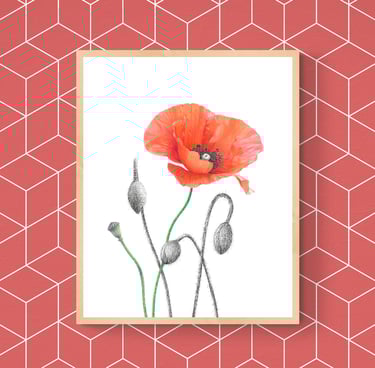 Poppies print framed