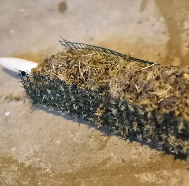 Self watering moss pole filled up with moss 