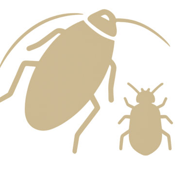 icone-blattes-caffards