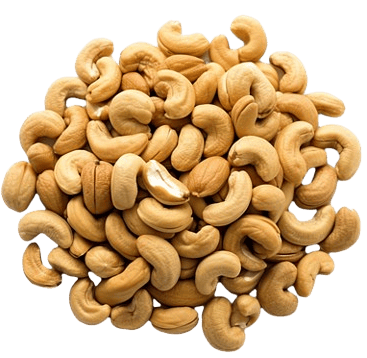 cashewnut canada