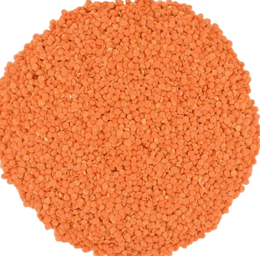 masoor dal trader