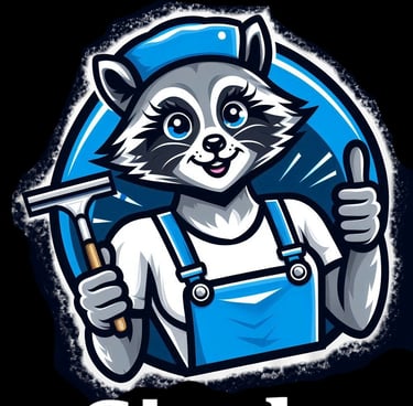 "les ratons laveurs 60 oise" "nettoyage de vitres oise" "nettoyage canapé tapis matelas oise"