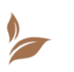Deux feuilles d'un arbre