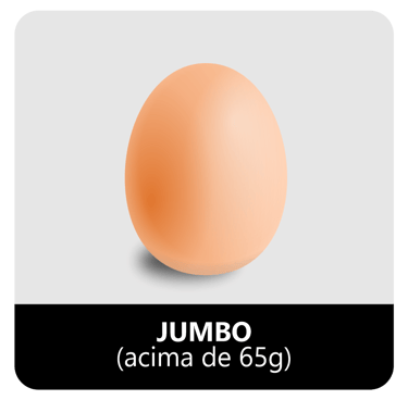 Distribuidora de ovos em Barra do Garcas