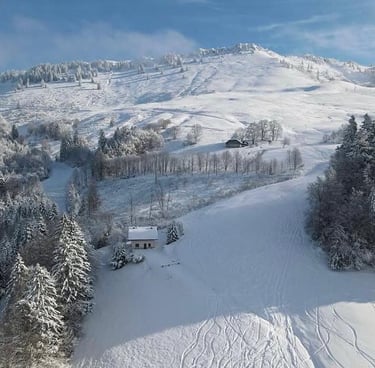a ski slope with a house in the background