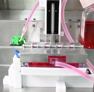 bioreactor, compression bioreactor