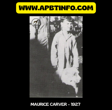 maurice carver 1927 apbt history