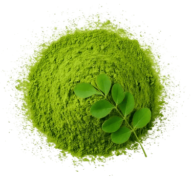 moringa leaf powder uae dubai germany