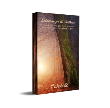 Salutations for the Shattered ebook cover by C'ah Sole with overcast forest