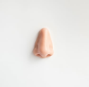 un nez