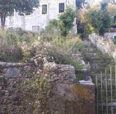 Film still from "Unseen Realities" by Tina Bikic showing an abandoned stone house overgrown with vegetation.