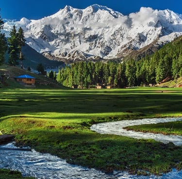 5 Days Fairy Meadows Tour