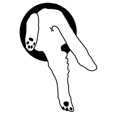 cat bum and legs climbing through hole