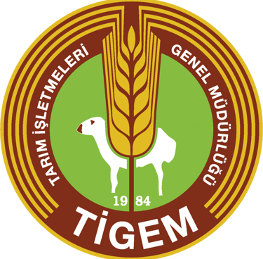 tigem