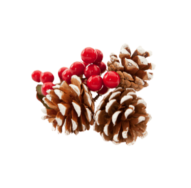 Callie Hope Voix Off image Noël