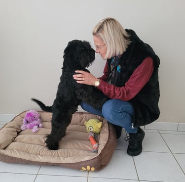 Schnauzer miniature et son éleveuse