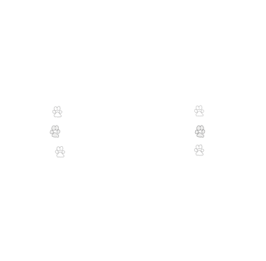 logo for rebecca reed photography