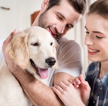 dog love