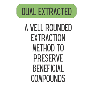 Mane Brain™ offers premium mushroom-based wellness products designed to support focus, memory,.