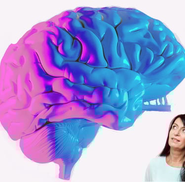 Gehirn rosa-blau und Gabriela