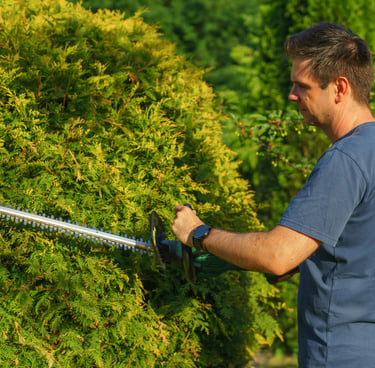 Entretien espaces verts