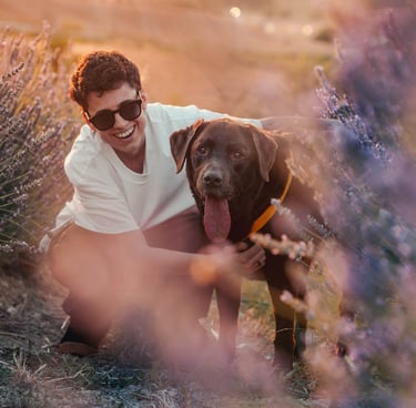 ragazza con labrador nei filari di lavanda