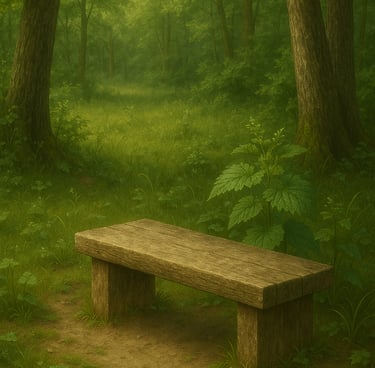 a bench with a wooden bench in the middle of a forest