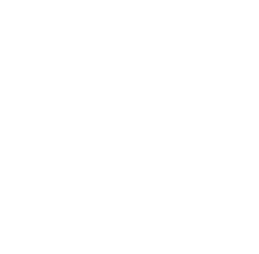 White Phone Logo
