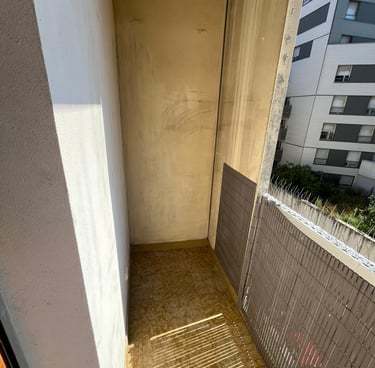 Avant / Après : nettoyage et désinfection totale des fientes de pigeon Albertville