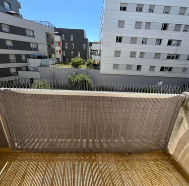 Avant / Après : nettoyage et désinfection totale des fientes de pigeon Annecy