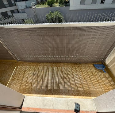 Avant / Après : nettoyage et désinfection totale des fientes de pigeon Chambery