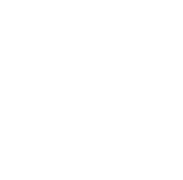 fairy icon
