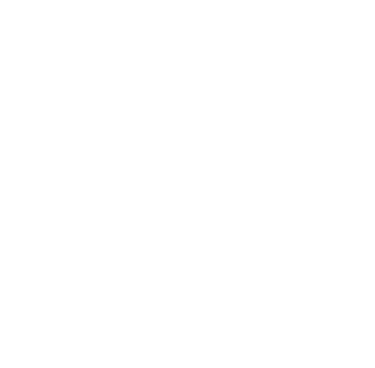Checkmark icon in white